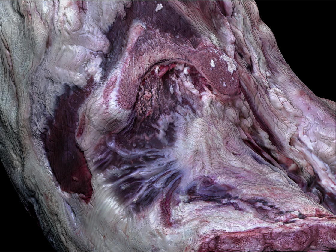 Meat5.jpg