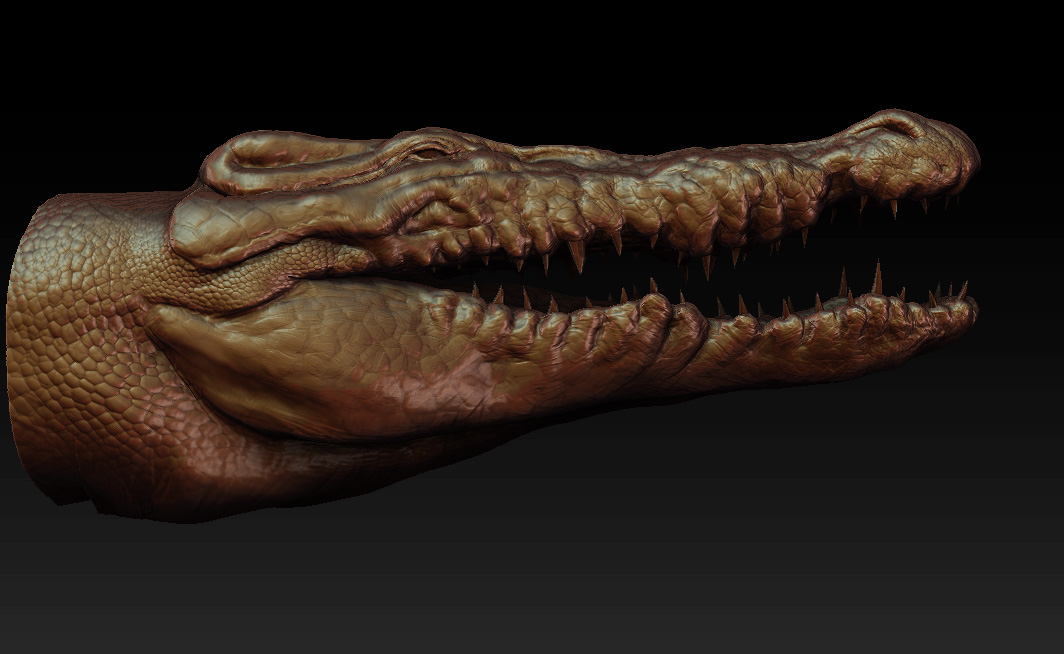croc.jpg