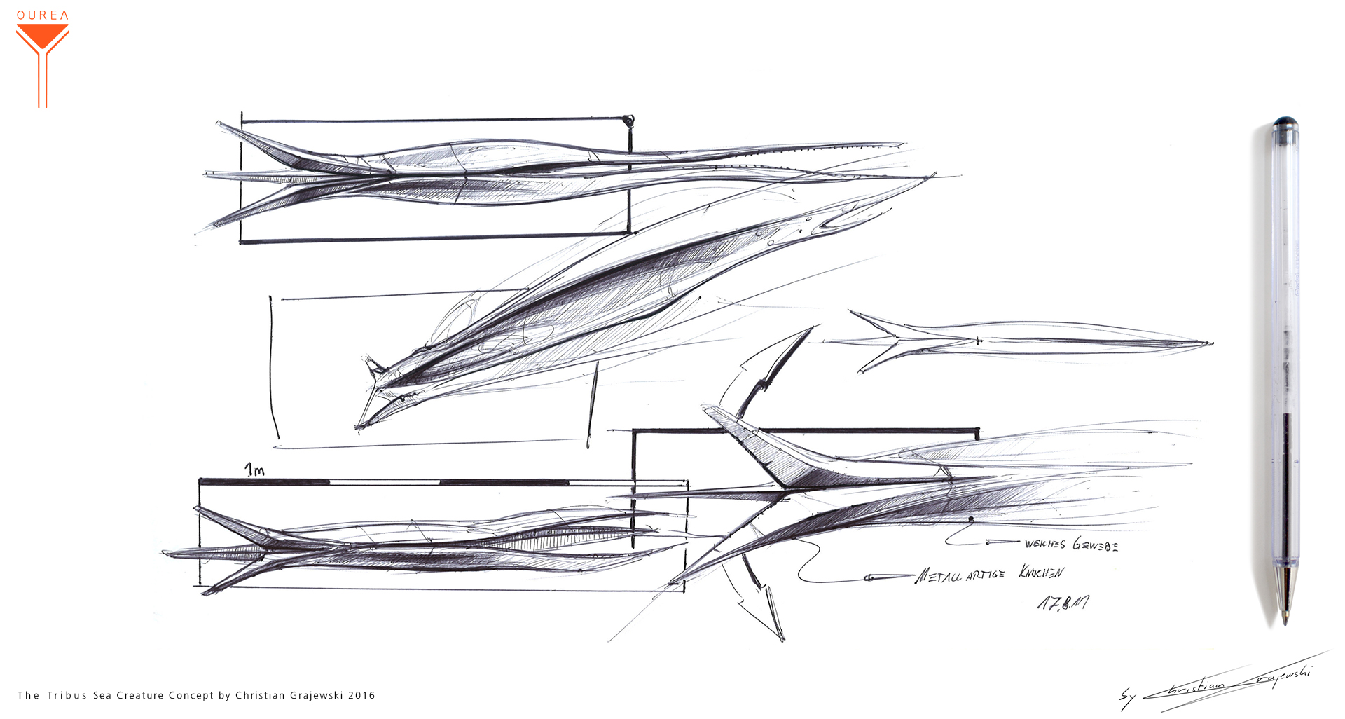 The Tribus Sea Creature Concept 01 by Christian Grajewski.jpg