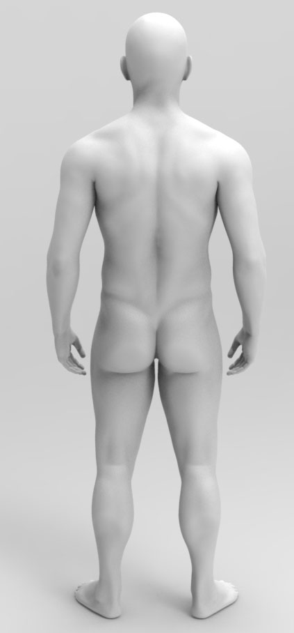 average man_back_croped.jpg