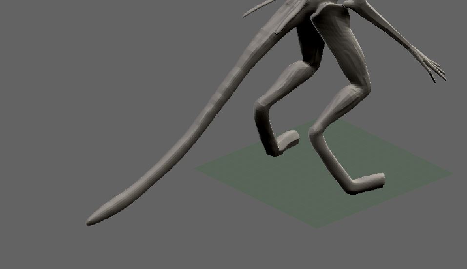 Tail.JPG