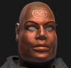 rogn.jpg
