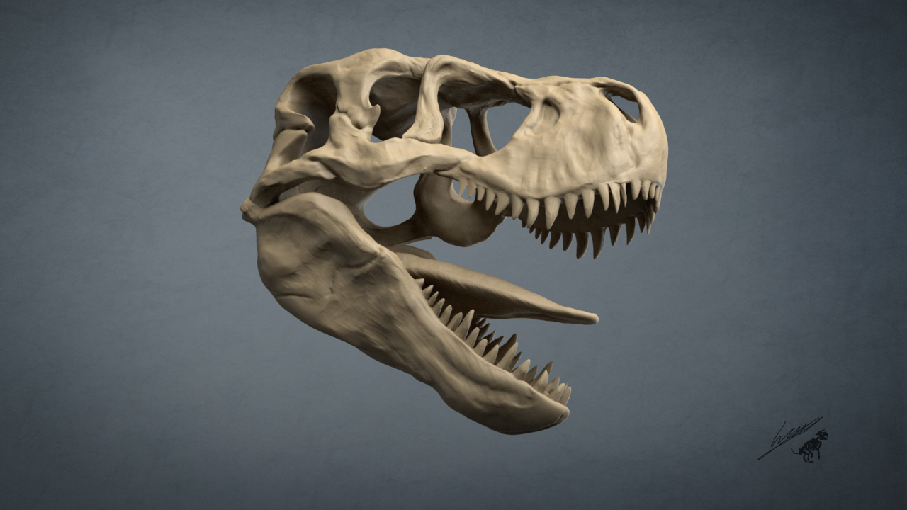 trex_011_wip.jpg