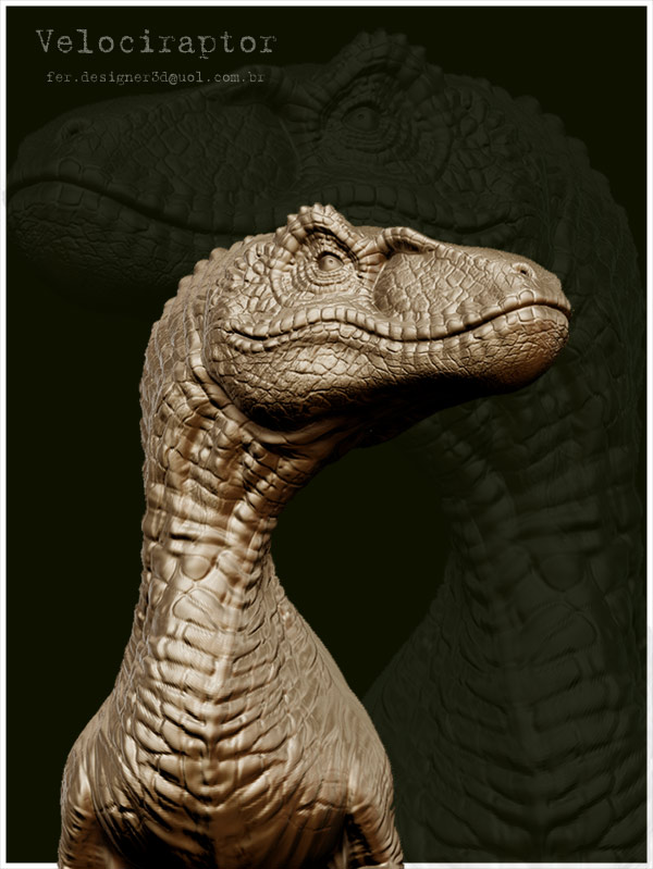 rapitor05web.jpg