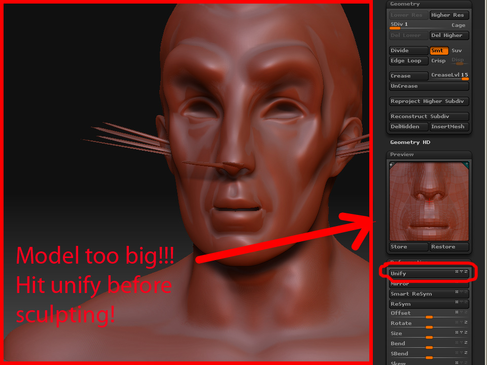 hugemodel.jpg