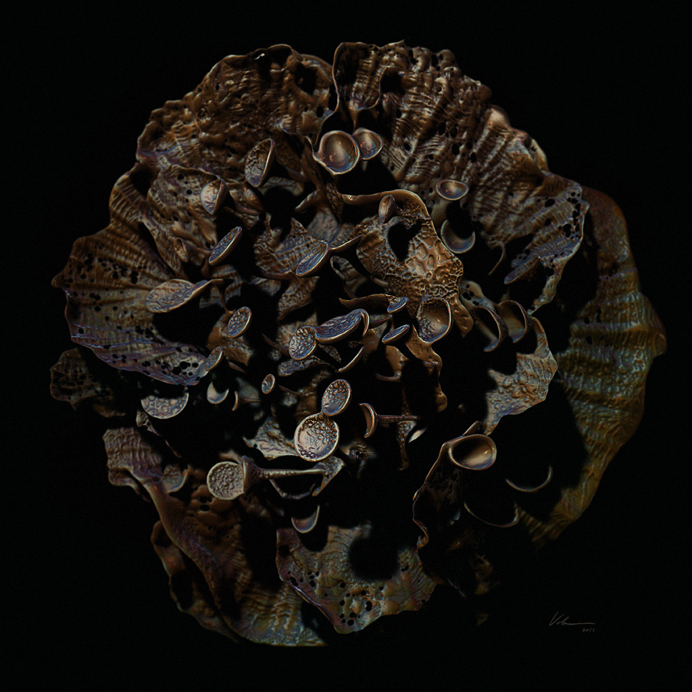 lichen.jpg