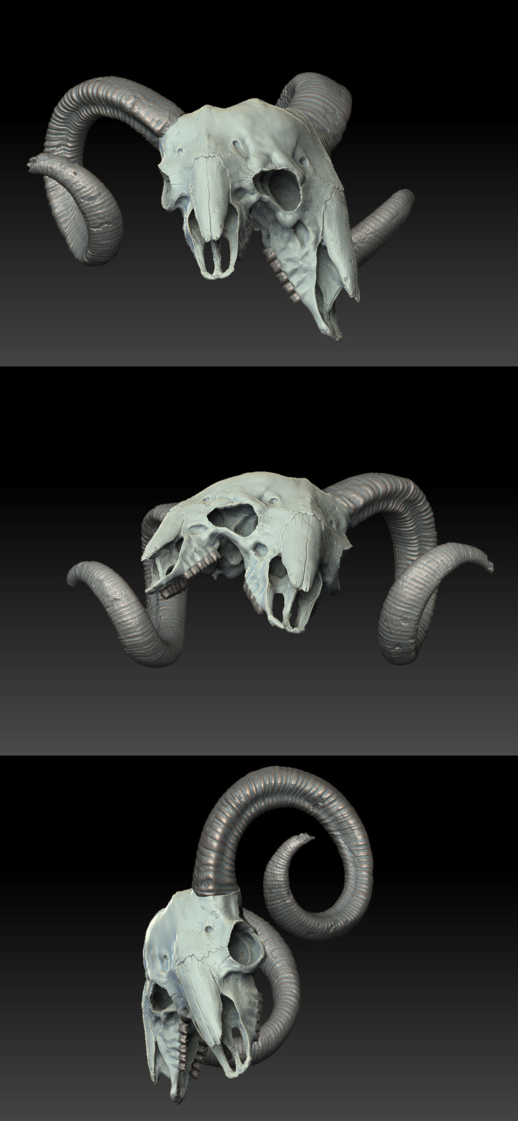 ramsHead.jpg