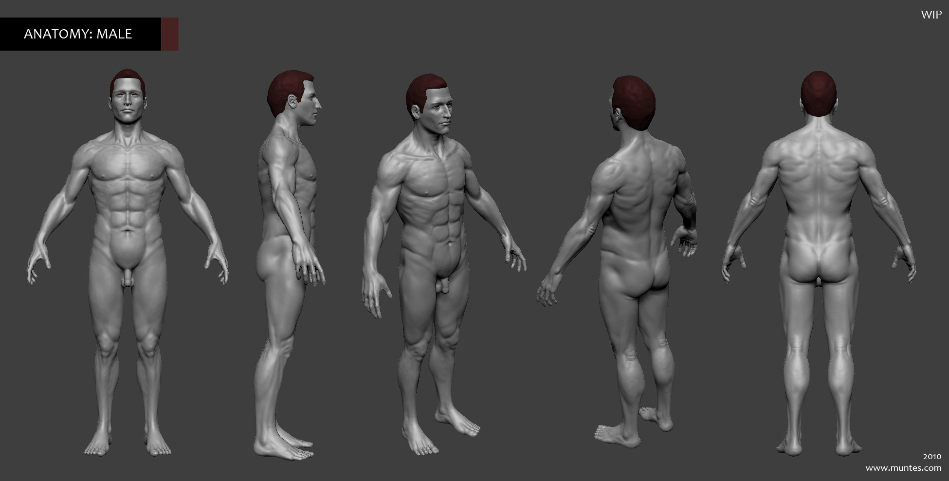 render_male.jpg