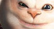 tumbcat.jpg