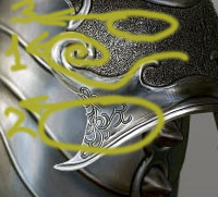 snsh2.jpg