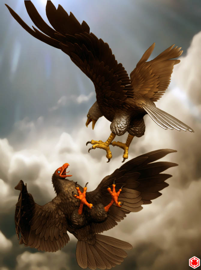 Eagle_4.jpg