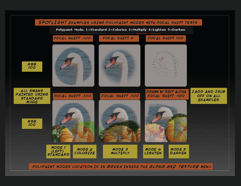 SWAN-EXAMPLES_pg1.jpg