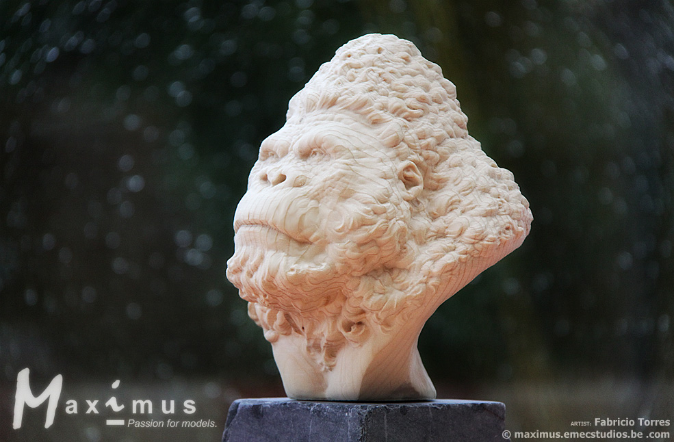 c1_Fabricio Torres gorilla_1_02.jpg