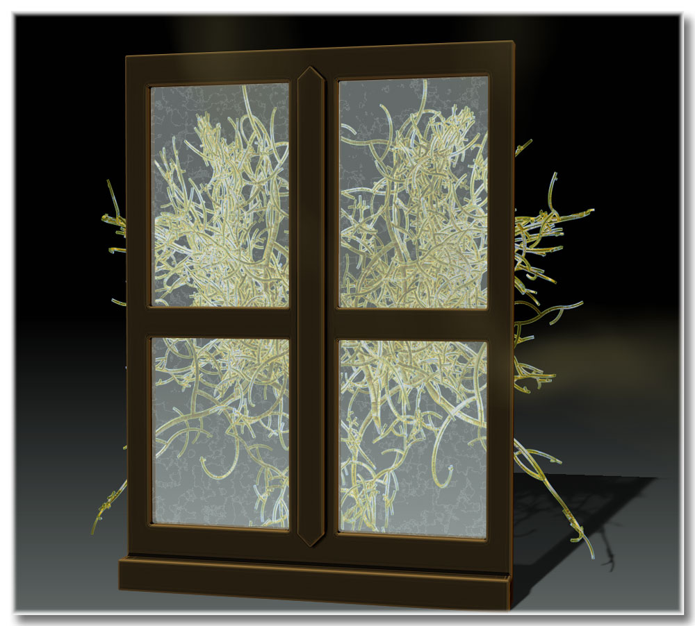 WindowFrame.jpg