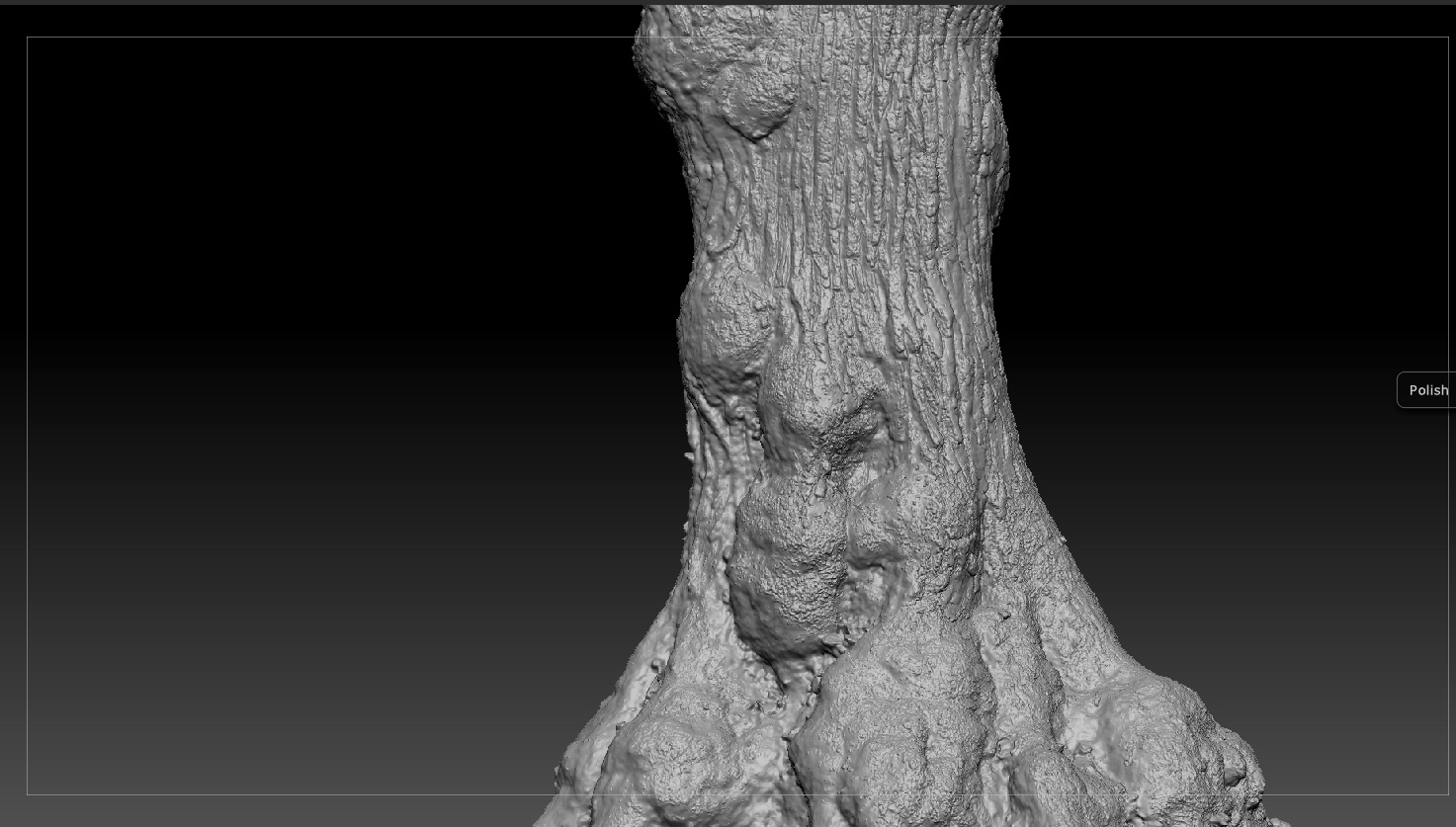 Arbre_Retouche04_ApresProjDetailsTex.jpg