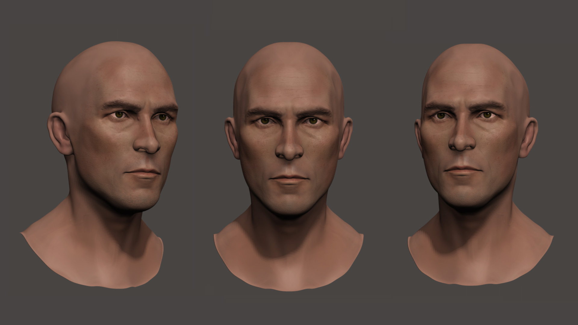 wip1-low.jpg