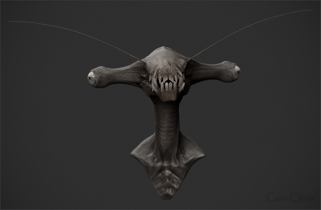 jordu-shcell-monster2