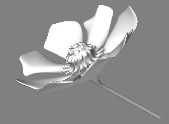 flowertime2.jpg