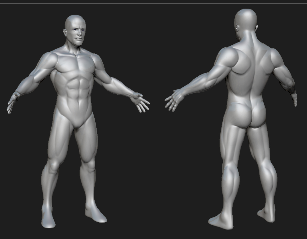 human male.jpg