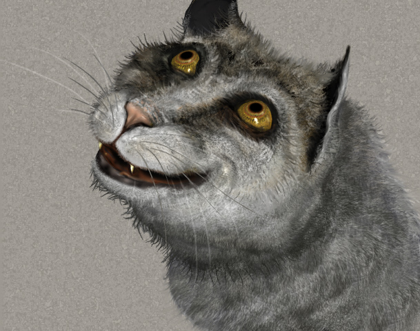 CatFaceNew2.jpg