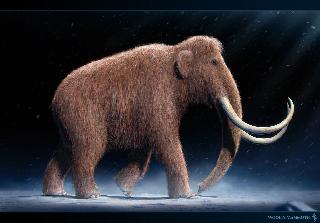 Mammoth_Final(1024).jpg