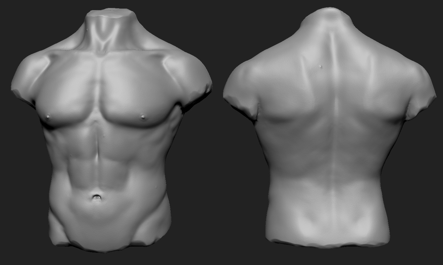 Torso01.jpg