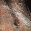 newlighting_small.jpg
