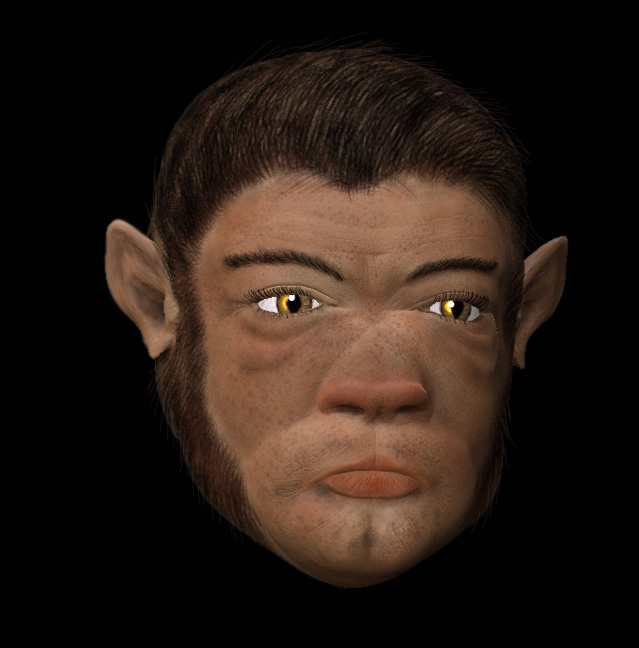 cat_head_sculpt3.jpg