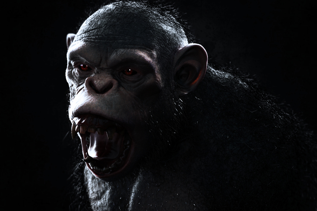 chimp2.jpg