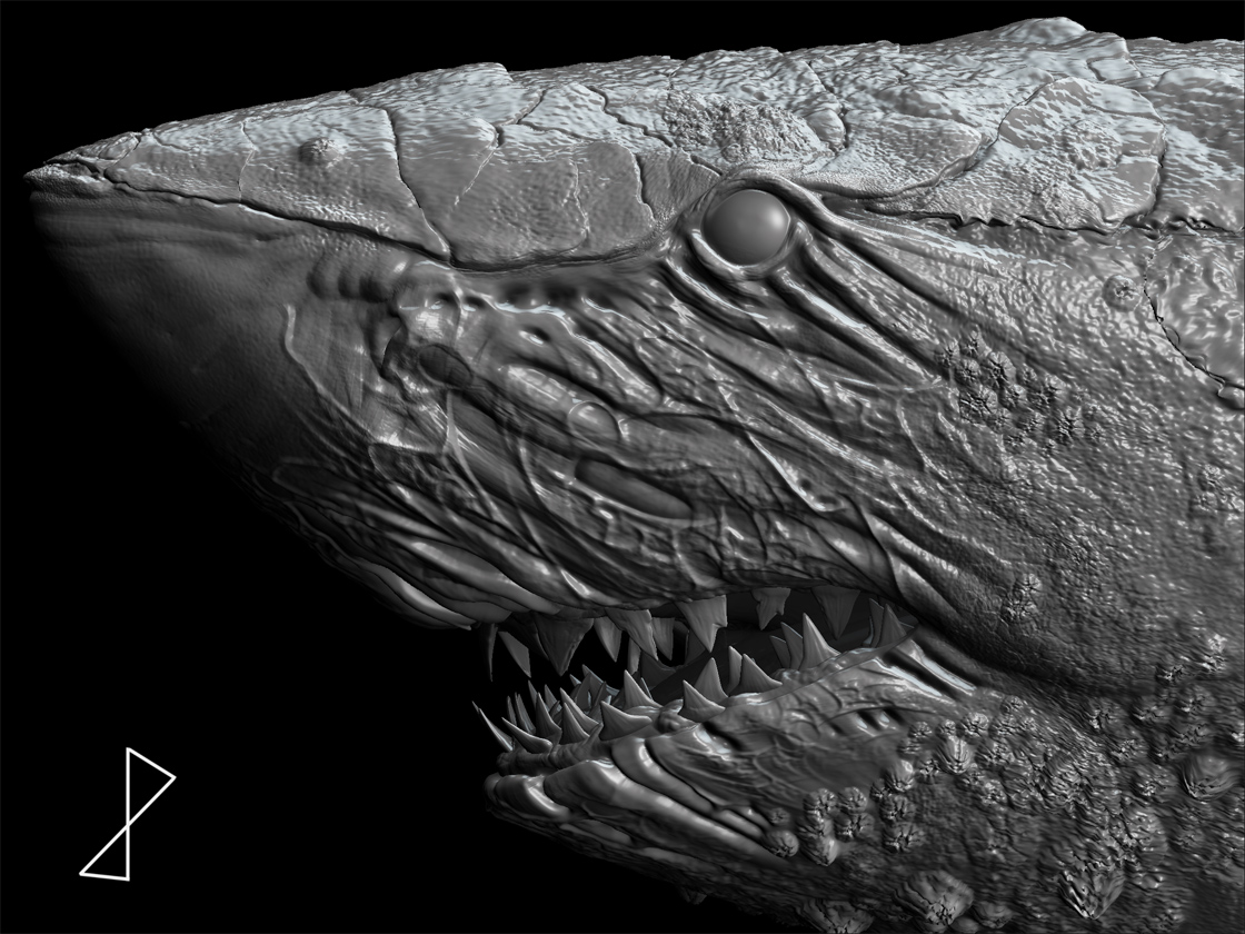 SwampShark_BPR_Render01.jpg