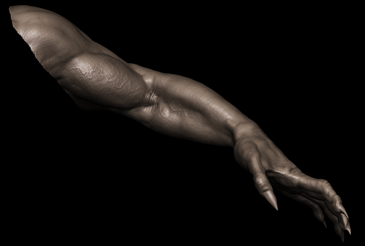 arms.jpg