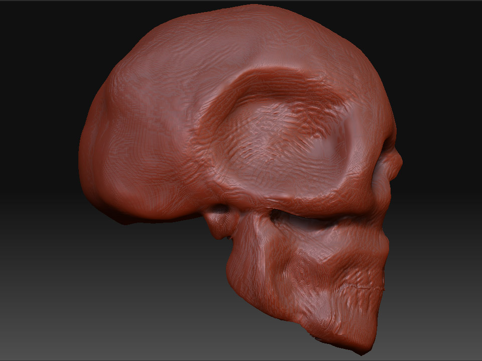 Skull_2.jpg