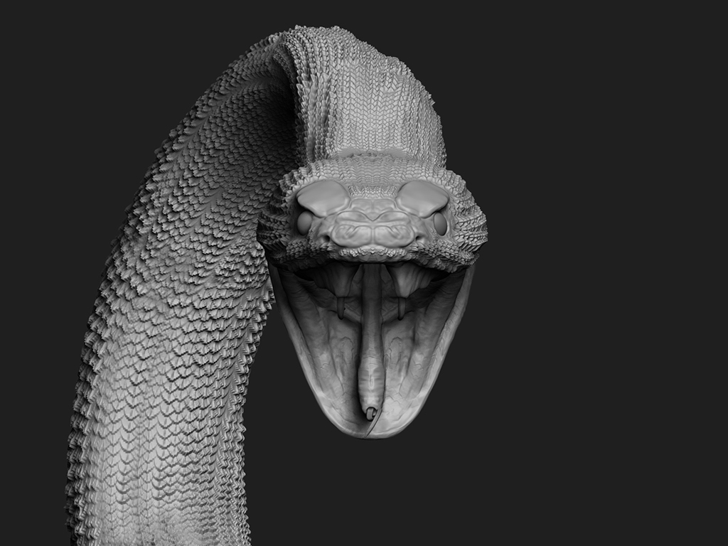 snake.jpg