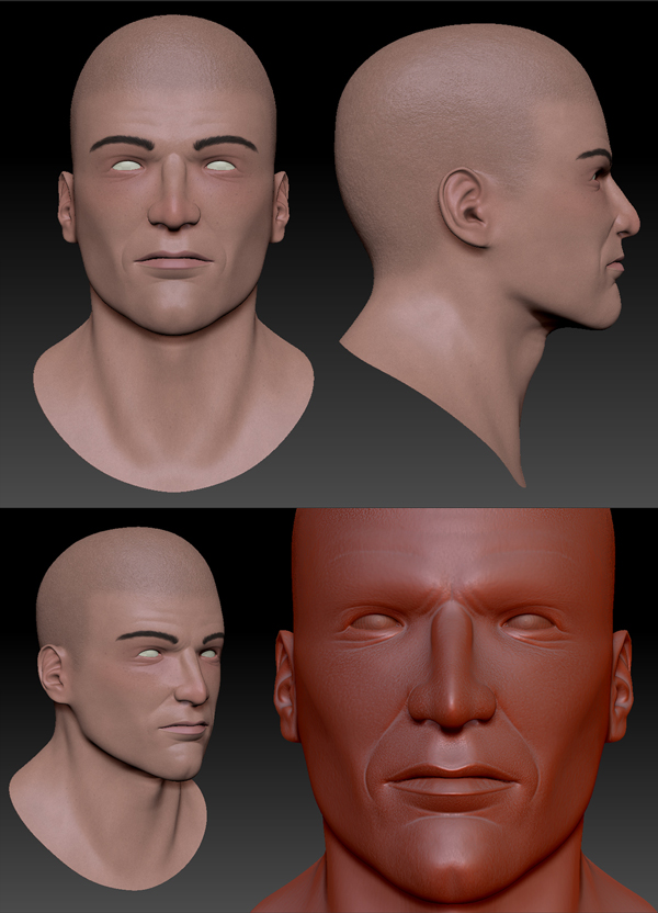 new head.jpg