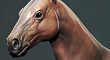 thumb.jpg