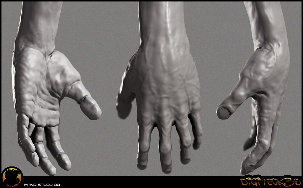 handDisP.jpg