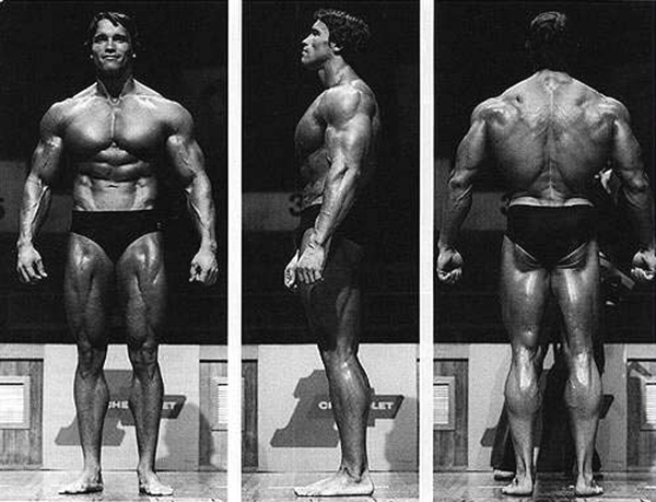 Arnold_small