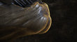 ghost_8_T_ZB.jpg
