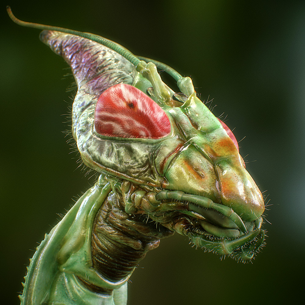 Idolomantis-Diabolica_03.jpg