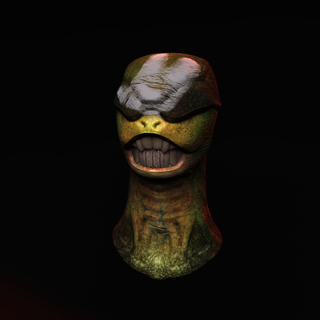 turtle2.jpeg