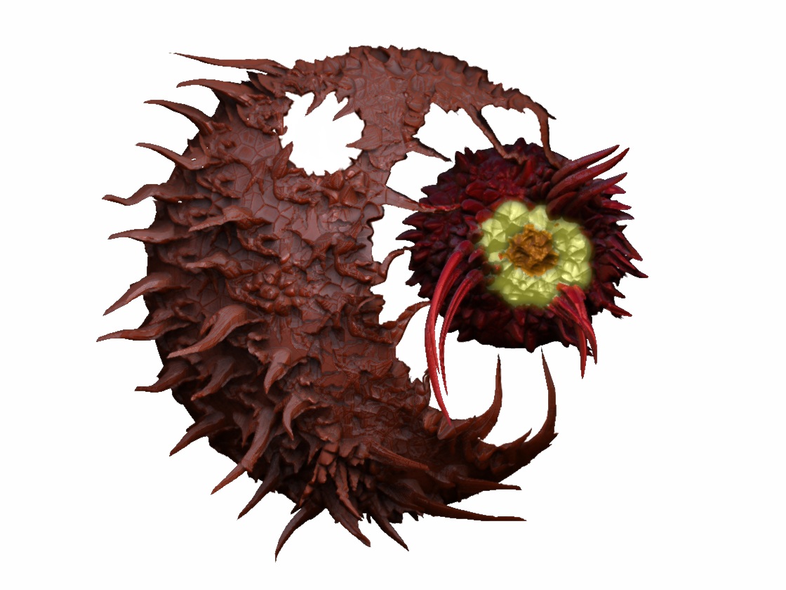 Macrophage.jpg