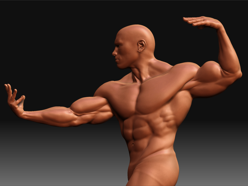 Arnold3.jpg