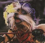 didymus.jpg