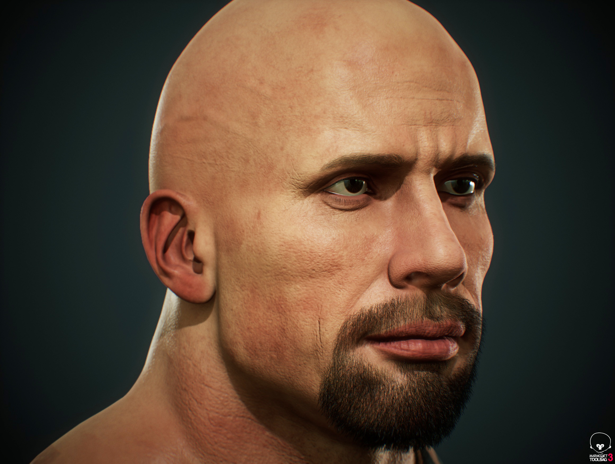 Dwayne Johnson The Rock 3D Realstic model with 4k texture size 3D model  animated rigged