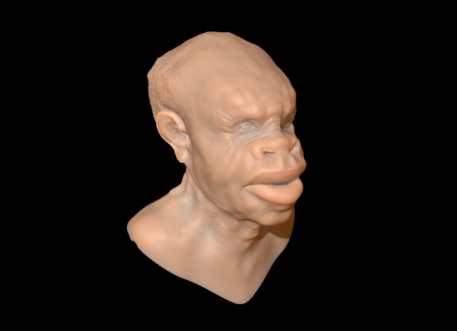 head06.jpg