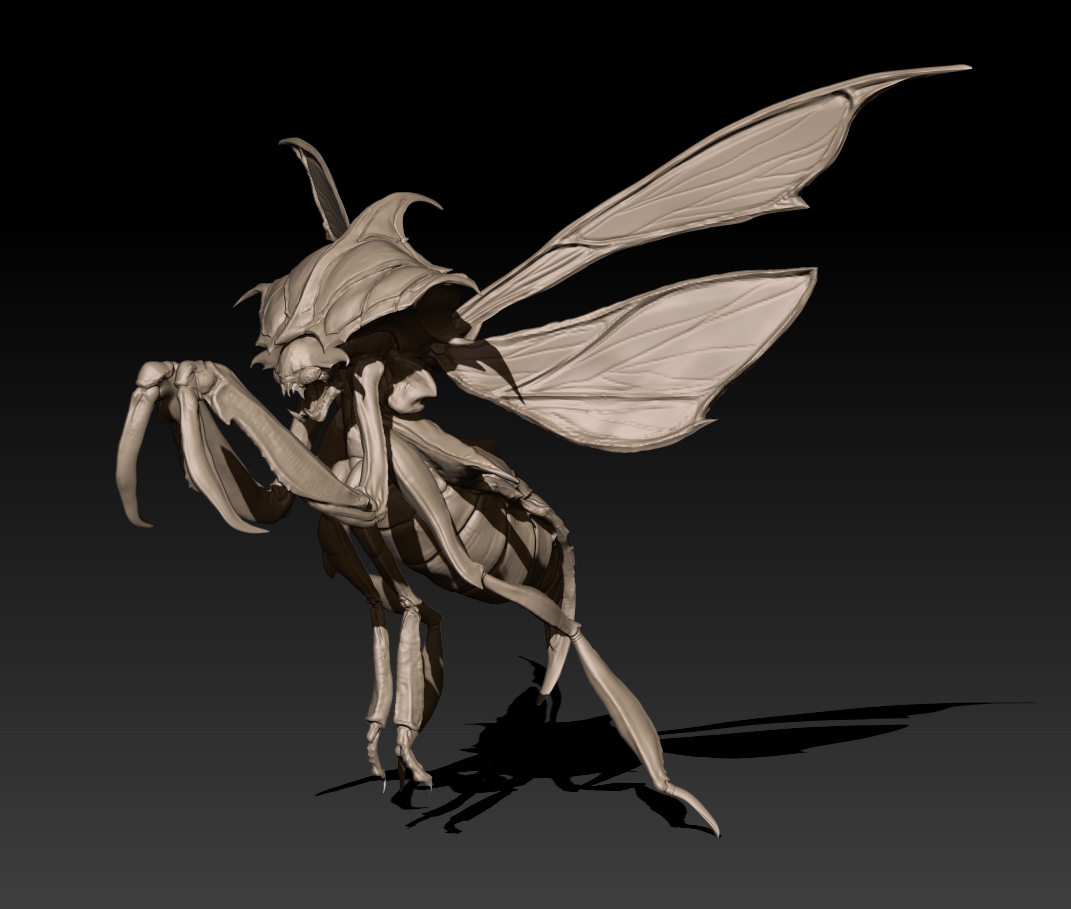 Insect02.jpg