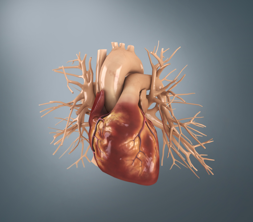 heart-illustration.jpg
