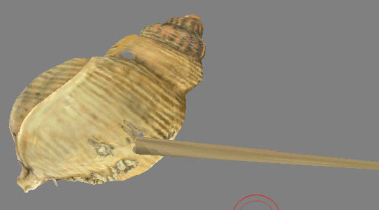 zbrush help neeed.jpg