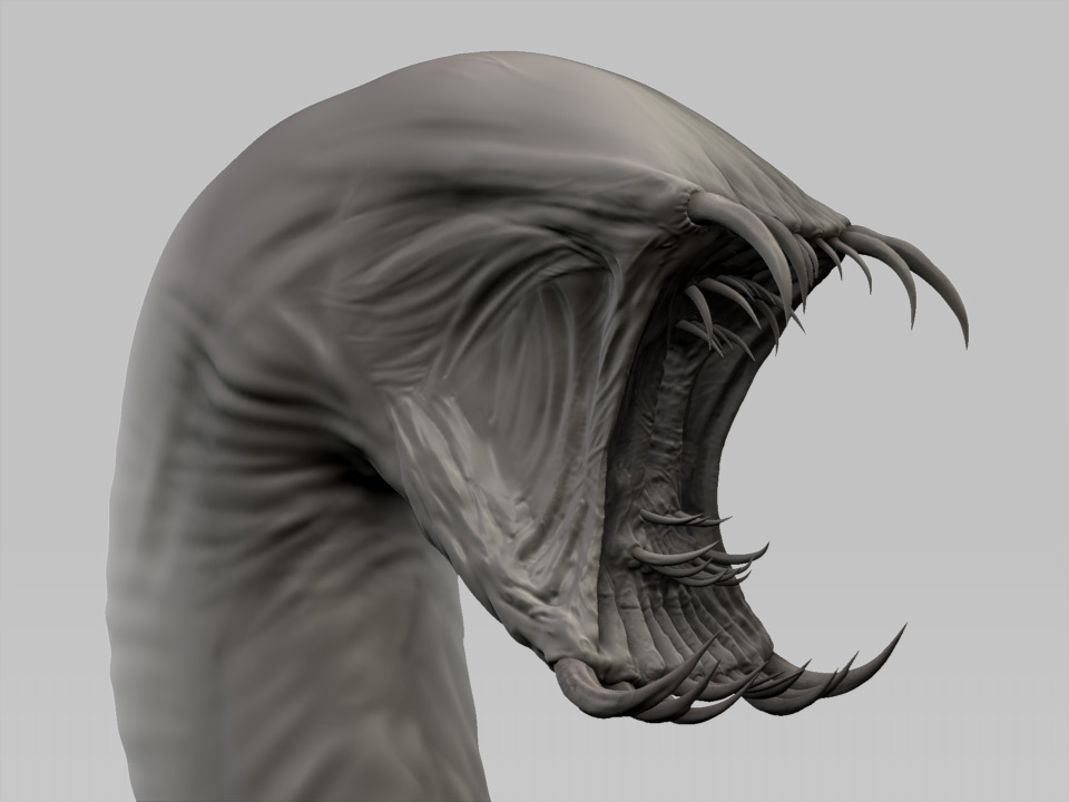 Worm.jpg