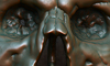 Rexxar_Progress_32a.jpg